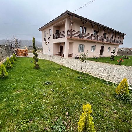 Pensiunea Alin Hotel Sisesti  Exterior photo