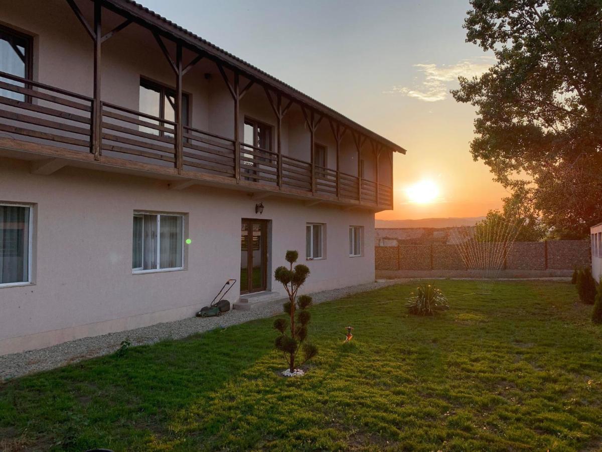 Pensiunea Alin Hotel Sisesti  Exterior photo
