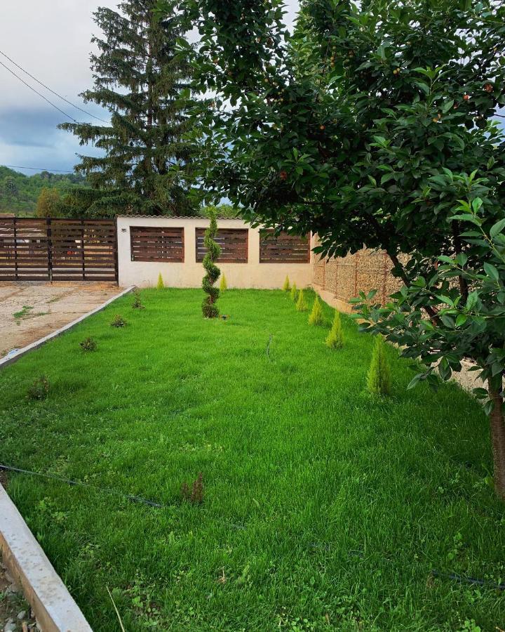 Pensiunea Alin Hotel Sisesti  Exterior photo